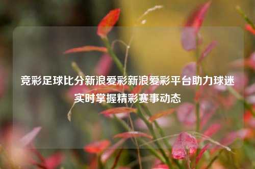 竞彩足球比分新浪爱彩新浪爱彩平台助力球迷实时掌握精彩赛事动态