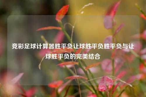 竞彩足球计算器胜平负让球胜平负胜平负与让球胜平负的完美结合