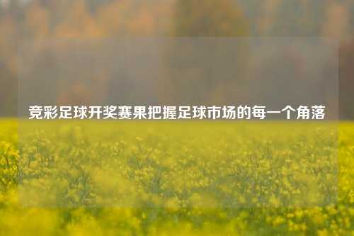 竞彩足球开奖赛果把握足球市场的每一个角落