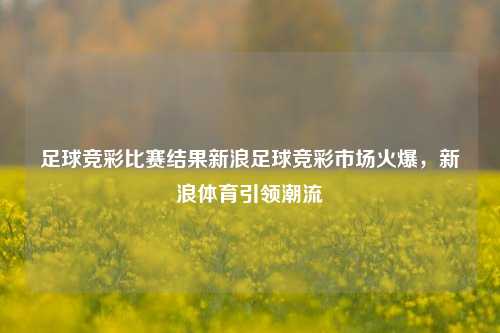 足球竞彩比赛结果新浪足球竞彩市场火爆，新浪体育引领潮流