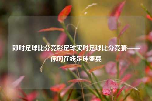 即时足球比分竞彩足球实时足球比分竞猜——你的在线足球盛宴