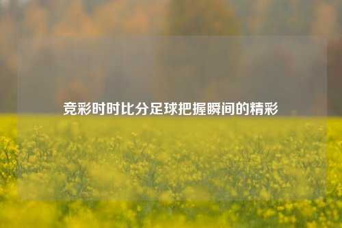 竞彩时时比分足球把握瞬间的精彩