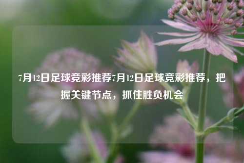 7月12日足球竞彩推荐7月12日足球竞彩推荐，把握关键节点，抓住胜负机会