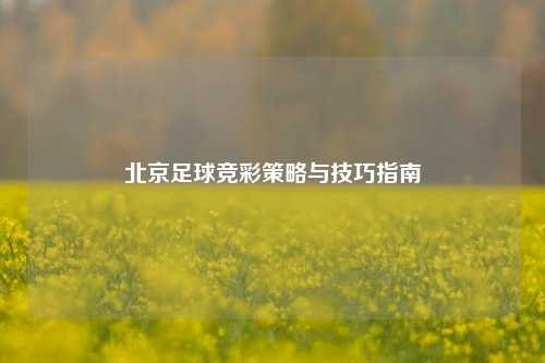 北京足球竞彩策略与技巧指南