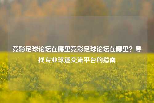 竞彩足球论坛在哪里竞彩足球论坛在哪里？寻找专业球迷交流平台的指南