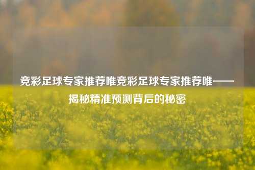 竞彩足球专家推荐唯竞彩足球专家推荐唯——揭秘精准预测背后的秘密