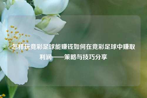 怎样玩竞彩足球能赚钱如何在竞彩足球中赚取利润——策略与技巧分享