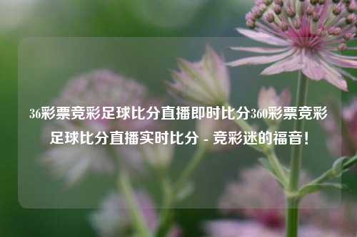 36彩票竞彩足球比分直播即时比分360彩票竞彩足球比分直播实时比分 - 竞彩迷的福音！
