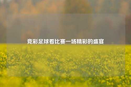 竞彩足球看比赛一场精彩的盛宴