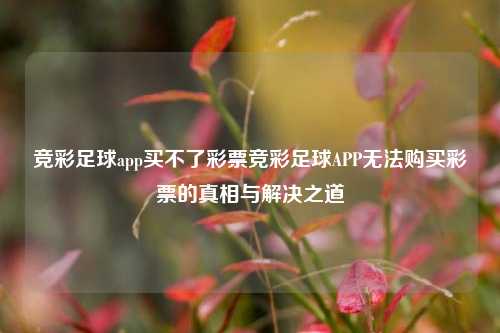 竞彩足球app买不了彩票竞彩足球APP无法购买彩票的真相与解决之道