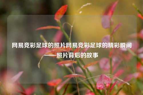 网易竞彩足球的照片网易竞彩足球的精彩瞬间——照片背后的故事