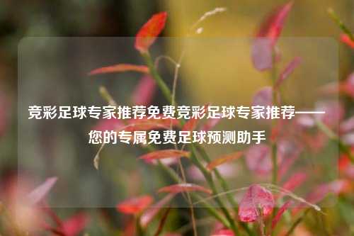 竞彩足球专家推荐免费竞彩足球专家推荐——您的专属免费足球预测助手