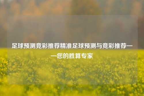 足球预测竞彩推荐精准足球预测与竞彩推荐——您的胜算专家