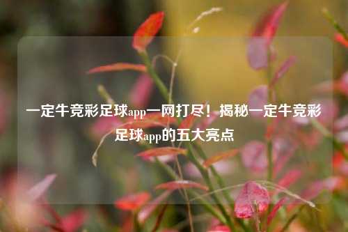 一定牛竞彩足球app一网打尽！揭秘一定牛竞彩足球app的五大亮点