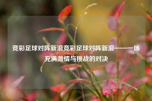 竞彩足球对阵新浪竞彩足球对阵新浪——一场充满激情与挑战的对决