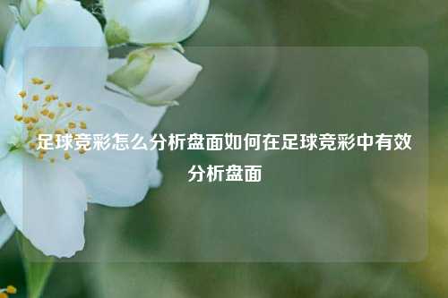 足球竞彩怎么分析盘面如何在足球竞彩中有效分析盘面
