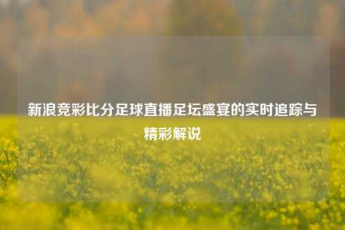 新浪竞彩比分足球直播足坛盛宴的实时追踪与精彩解说
