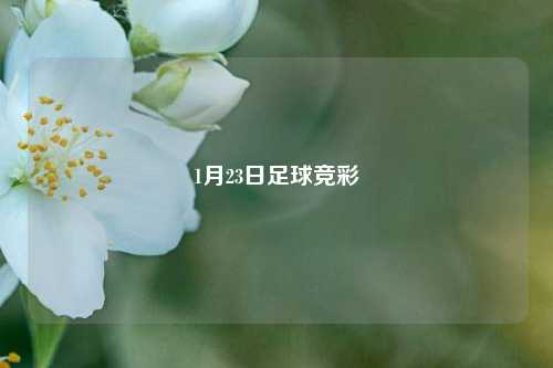 1月23日足球竞彩