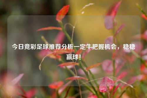 今日竞彩足球推荐分析一定牛把握机会，稳稳赢球！