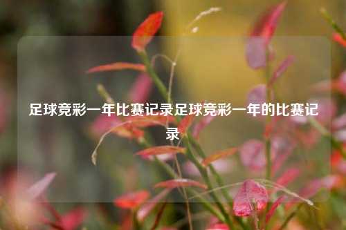 足球竞彩一年比赛记录足球竞彩一年的比赛记录