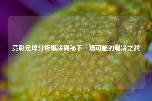 竞彩足球分析爆冷揭秘下一场可能的爆冷之战