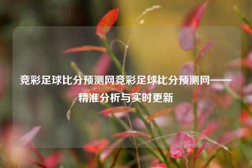 竞彩足球比分预测网竞彩足球比分预测网——精准分析与实时更新