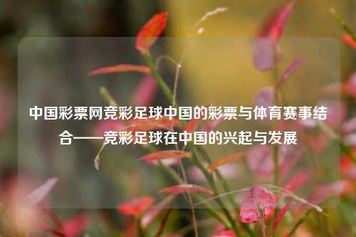 中国彩票网竞彩足球中国的彩票与体育赛事结合——竞彩足球在中国的兴起与发展