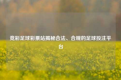 竞彩足球彩票站揭秘合法、合规的足球投注平台