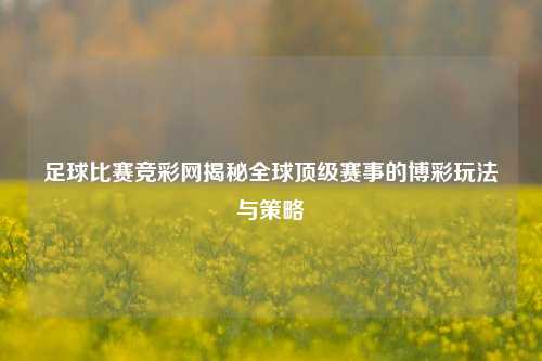 足球比赛竞彩网揭秘全球顶级赛事的博彩玩法与策略