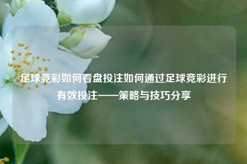 足球竞彩如何看盘投注如何通过足球竞彩进行有效投注——策略与技巧分享