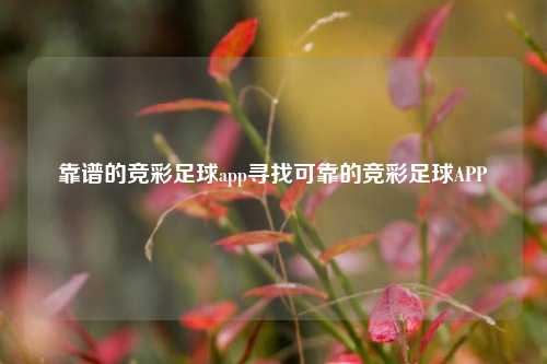 靠谱的竞彩足球app寻找可靠的竞彩足球APP