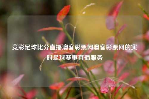 竞彩足球比分直播澳客彩票网澳客彩票网的实时足球赛事直播服务