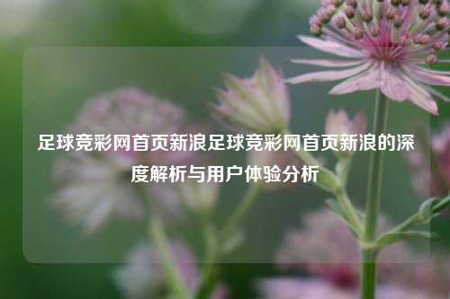 足球竞彩网首页新浪足球竞彩网首页新浪的深度解析与用户体验分析