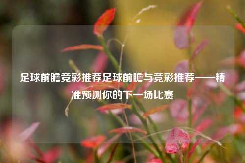 足球前瞻竞彩推荐足球前瞻与竞彩推荐——精准预测你的下一场比赛