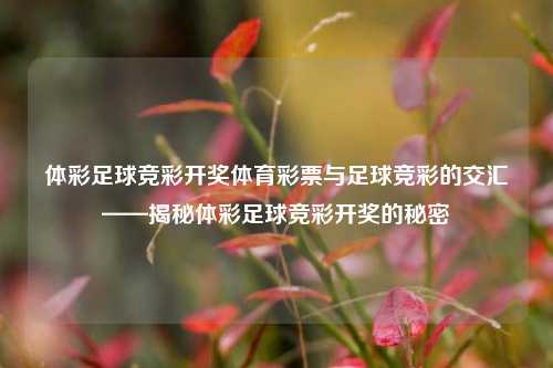 体彩足球竞彩开奖体育彩票与足球竞彩的交汇——揭秘体彩足球竞彩开奖的秘密