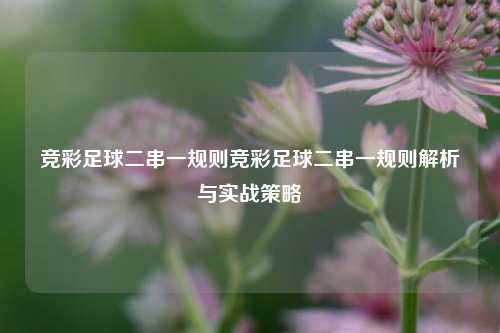 竞彩足球二串一规则竞彩足球二串一规则解析与实战策略