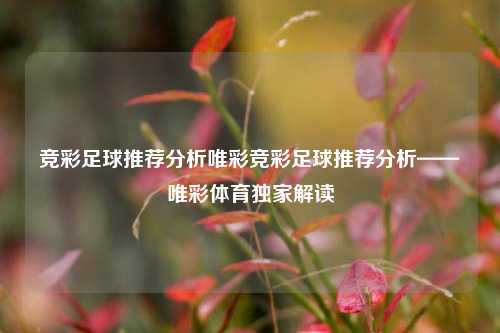 竞彩足球推荐分析唯彩竞彩足球推荐分析——唯彩体育独家解读