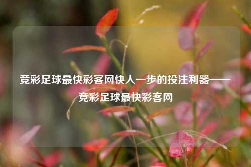 竞彩足球最快彩客网快人一步的投注利器——竞彩足球最快彩客网