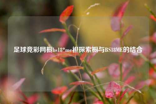 足球竞彩网橱bs18*me袒探索橱与BS18ME的结合