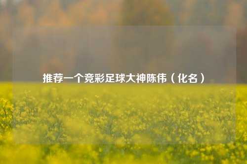 推荐一个竞彩足球大神陈伟（化名）
