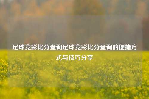 足球竞彩比分查询足球竞彩比分查询的便捷方式与技巧分享