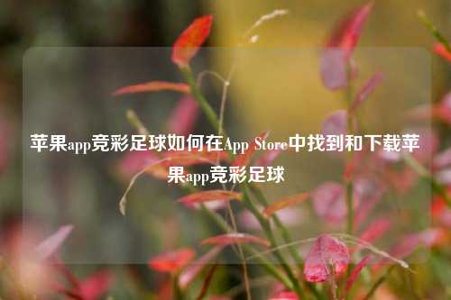苹果app竞彩足球如何在App Store中找到和下载苹果app竞彩足球