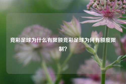 竞彩足球为什么有限额竞彩足球为何有额度限制？