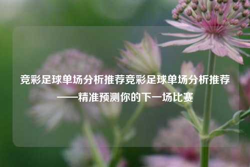 竞彩足球单场分析推荐竞彩足球单场分析推荐——精准预测你的下一场比赛