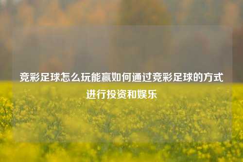 竞彩足球怎么玩能赢如何通过竞彩足球的方式进行投资和娱乐