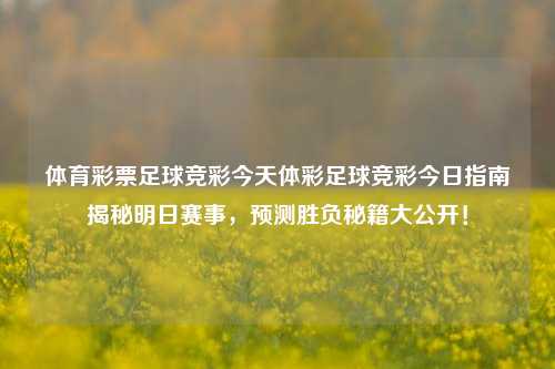 体育彩票足球竞彩今天体彩足球竞彩今日指南揭秘明日赛事，预测胜负秘籍大公开！