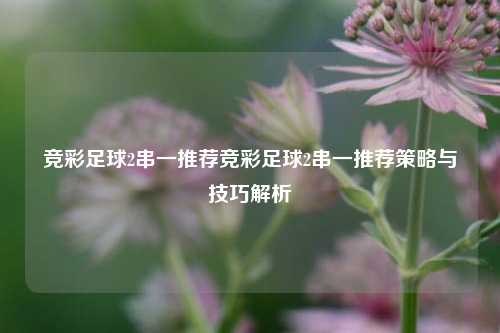 竞彩足球2串一推荐竞彩足球2串一推荐策略与技巧解析