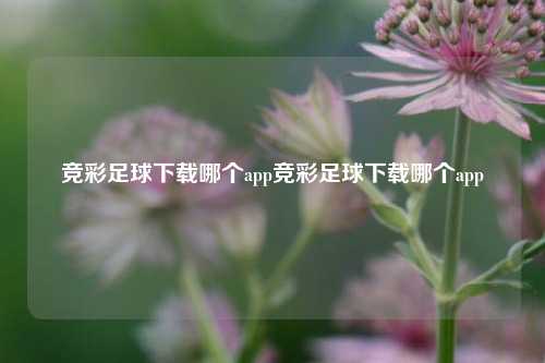 竞彩足球下载哪个app竞彩足球下载哪个app