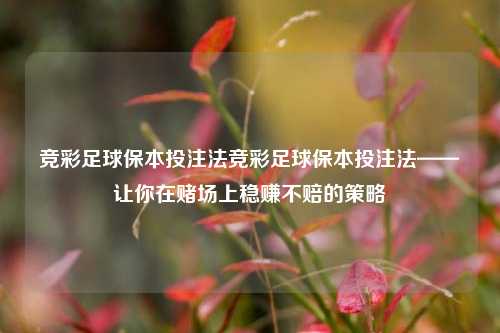 竞彩足球保本投注法竞彩足球保本投注法——让你在赌场上稳赚不赔的策略