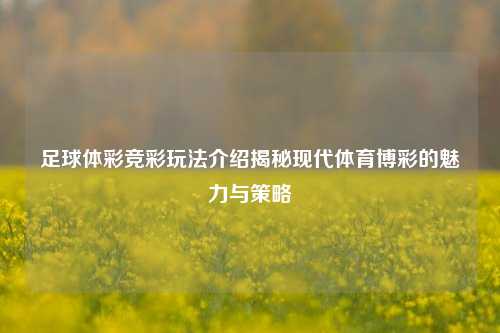 足球体彩竞彩玩法介绍揭秘现代体育博彩的魅力与策略
